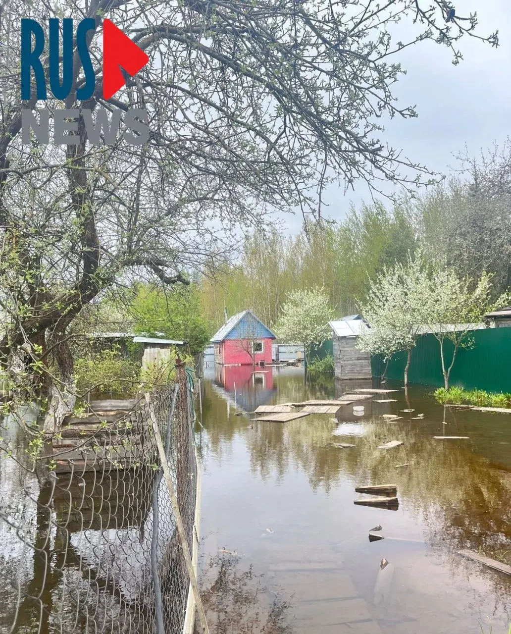 Вода затопила Гребневский лес и частные участки: местные жители связывают подтопление с перекрытием трубы водоканалом. Власти говорят о контроле над паводками, но люди вынуждены бороться с последствиями самостоятельно.