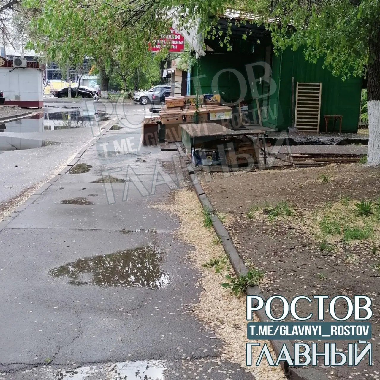 Жители жалуются, что торговая точка занимает тротуар и заставляет пеших идти по проезжей части, а ближайшая мусорка вновь стала переполненной всего за несколько дней.