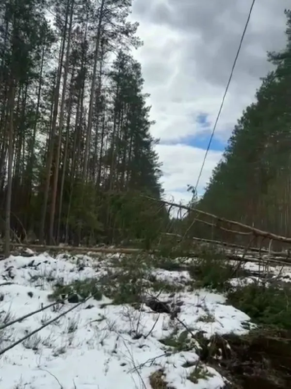 Из‑за апрельской непогоды в восьми населённых пунктах района остаётся временное электроснабжение — бригады устраняют повреждения, но жители жалуются, что специалистов давно не видели.
