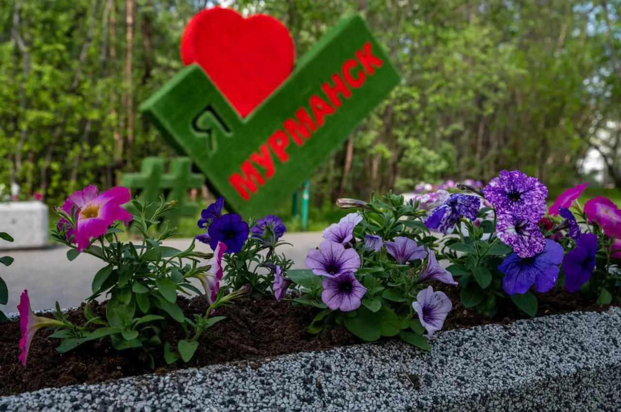 В 2026 году в Мурманске на 54 объектах намерены посадить 175 480 растений. В 2025 году в городе высадили 9 200 растений и провели масштабные уборки: вывезено более 2 тысяч кубометров мусора и десятки тонн покрышек.