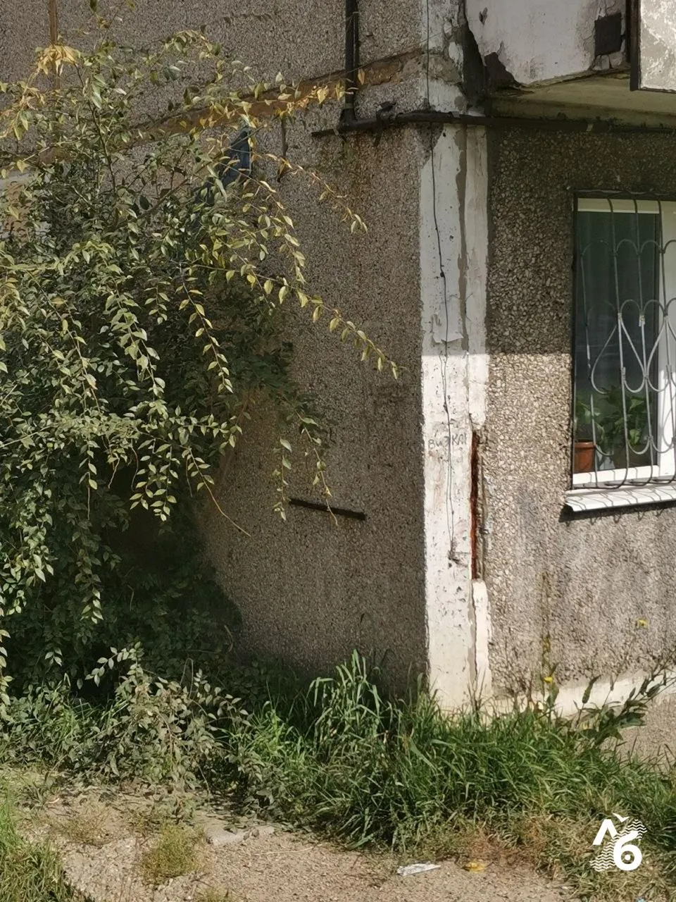 Городские власти хотят переселить Елену Сизых из аварийного дома в панельный дом с множеством дефектов. Женщина отказалась и добивается проведения строительной экспертизы в суде.