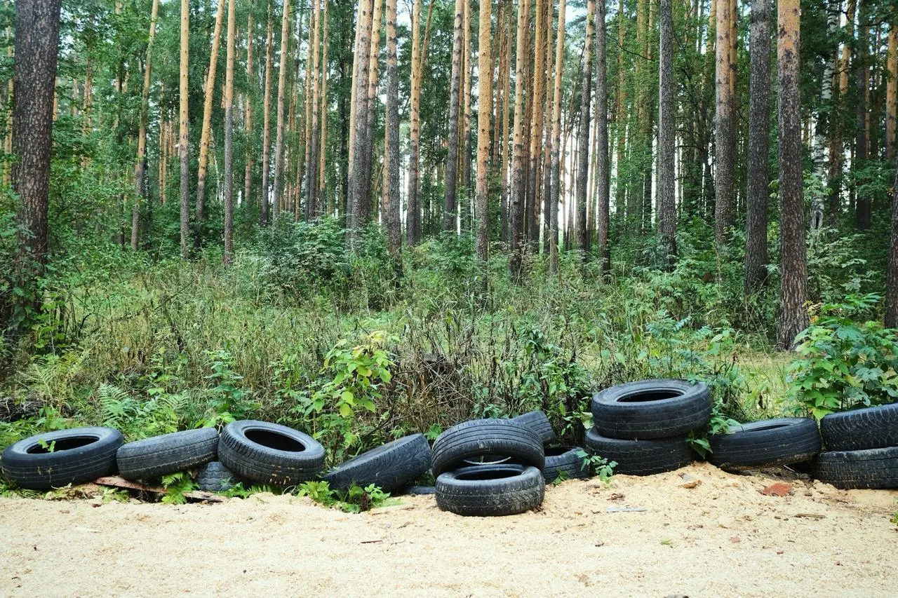 Власти планируют организовать сбор, транспортировку и переработку старых покрышек, чтобы сократить несанкционированные свалки, снизить пожарную опасность и возвращать материалы в городскую среду.