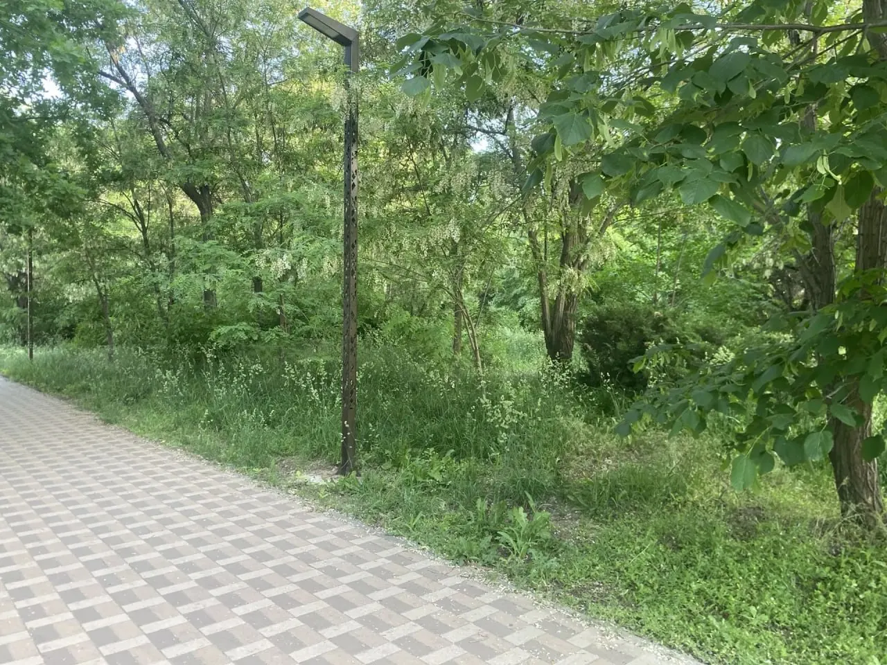 В Краснооктябрьском районе парк им. Юрия Гагарина пришёл в упадок: заросшие конструкции, сломанные качели и некошеная трава. На восстановление, по оценке руководства ДК, нужно минимум 300 тысяч рублей, которых у учреждения нет.