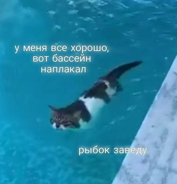 Министерство через суд добилось компенсации из‑за регулярных нарушений графика вывоза ТКО, ненадлежащего содержания контейнерных площадок и тысяч жалоб жителей региона.