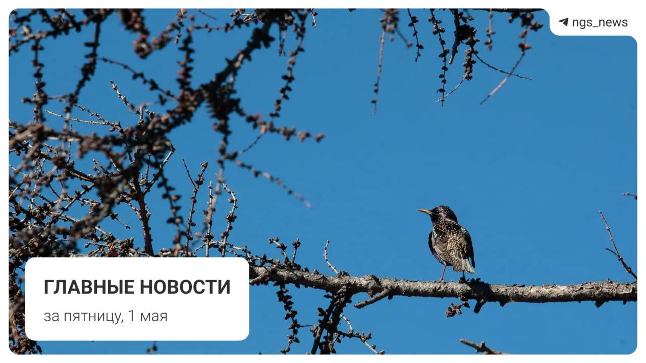 В Татарске в детской спортивной школе обрушился потолок, пострадавших нет. Также отмечают состав из старых вагонов на Дзержинской ветке, разговоры о запуске фонтана в Центральном парке и первомайские мероприятия в городе.