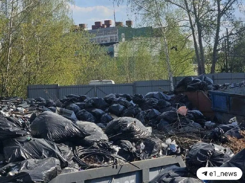 После совещания по выявленной несанкционированной свалке первый замглавы города распорядился уволить одного специалиста и объявить выговор другому; проблемные контейнеры убрали в кратчайшие сроки.