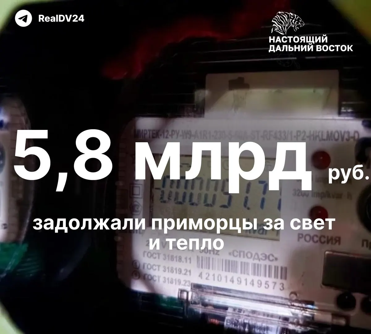 В Приморском крае долг населения превысил 5,8 млрд руб. — энергетики разослали около 13 тыс. уведомлений. Должникам дают 20 дней на оплату, затем последуют автоматические отключения и начисление пеней.