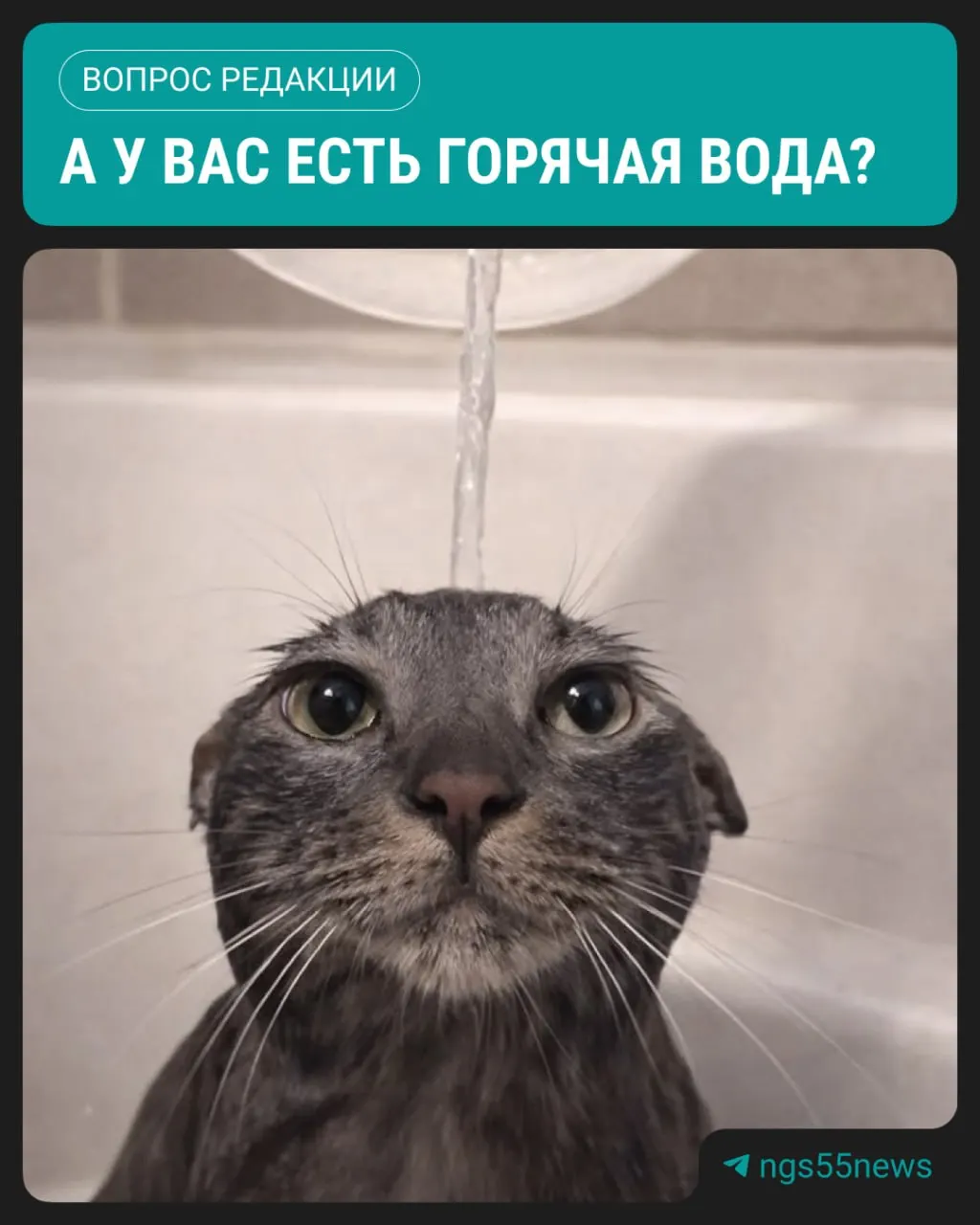 С 19 мая в Омске стартовали первые волны плановых отключений горячей воды: под временные ограничения попадают почти 4 тысячи жилых домов в нескольких районах города.