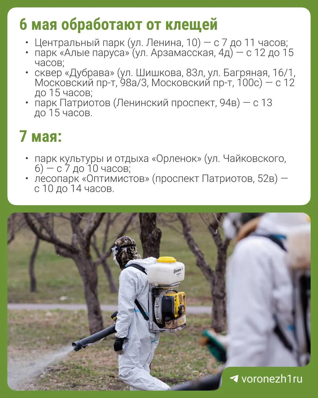 Две бригады обработают 35 парков и скверов Воронежа. Препараты называют безопасными, но рекомендуют не посещать места обработки во время работ и в течение нескольких часов после.