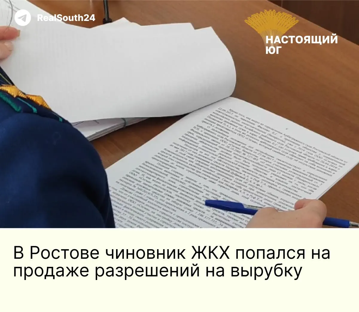 Чиновник обвиняется в получении 700 тысяч рублей за незаконное разрешение на вырубку здоровых деревьев; сделку пресекли при передаче первого транша в 100 тысяч.