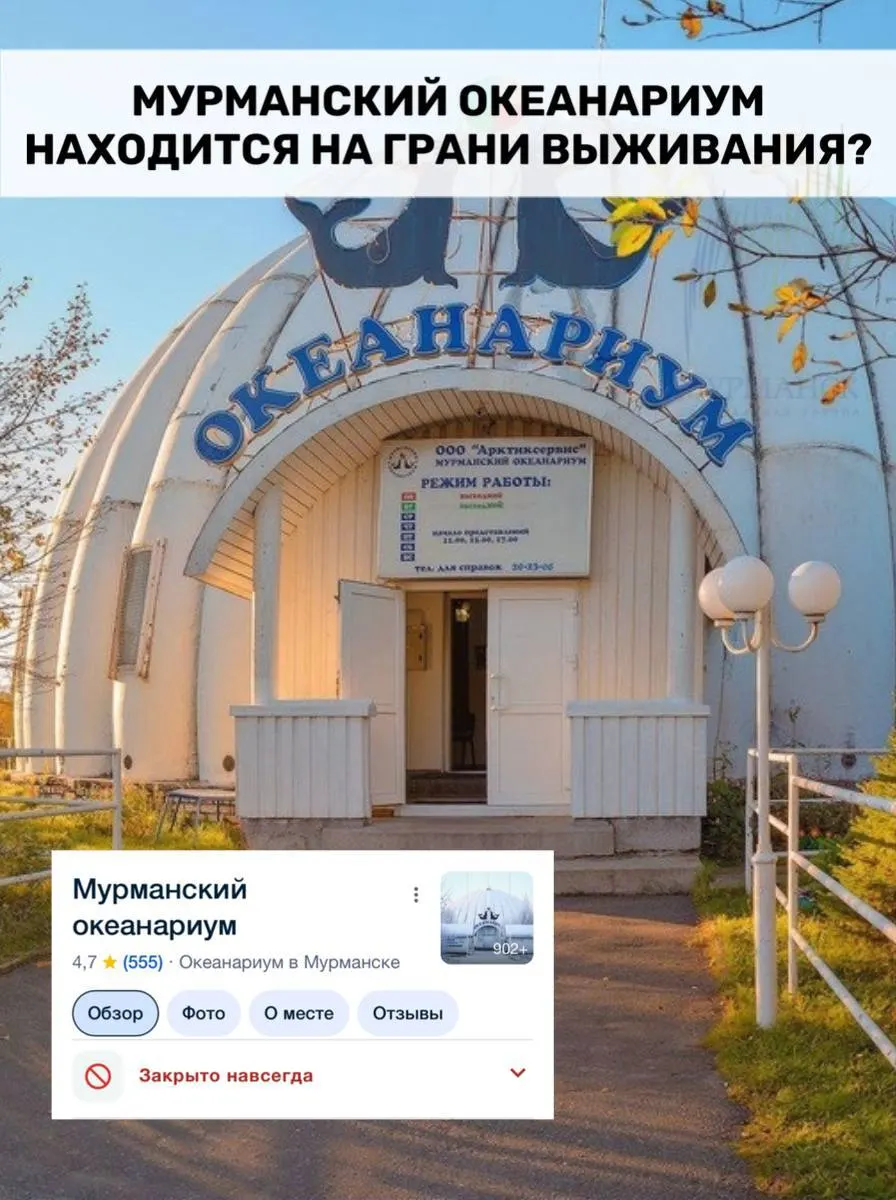 «Мурманскводоканал» требует с океанариума более 723 тыс. рублей, дело рассматривает арбитраж. Ранее с учреждения уже взыскали свыше двух миллионов, против него начаты процедуры изъятия земли, а сотрудники жалуются на задержки зарплат.