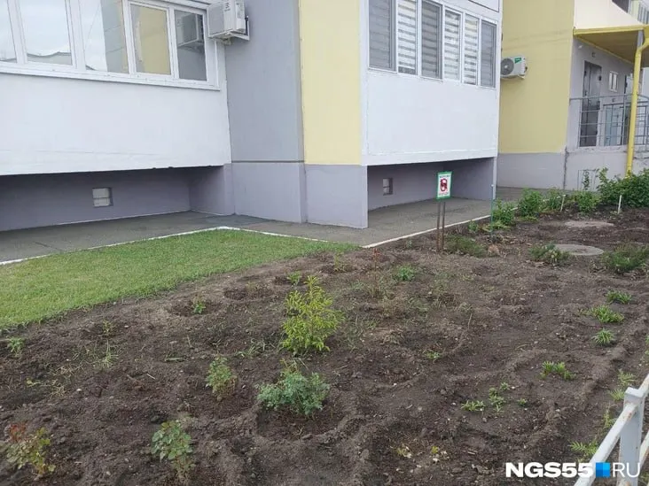 Жильцы всё чаще организуют клумбы и огороды на придомовой территории. Эксперт по ЖКХ объясняет, какие правила нужно соблюдать, чтобы избежать конфликтов и проблем с коммуникациями.