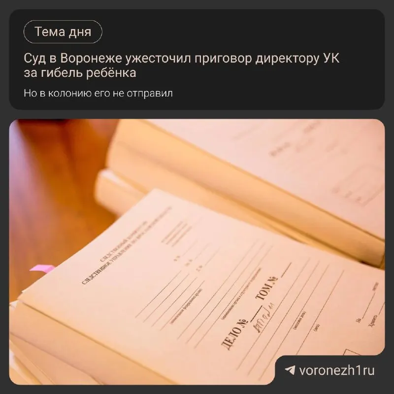 Областной суд назначил директору управляющей компании полтора года принудительных работ с удержанием 10% зарплаты и запрет на управление многоквартирными домами на два года — мера связана со смертью 11‑летнего мальчика от угарного газа.