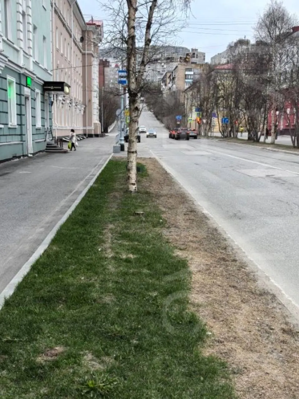 Зимой обильное использование противогололёдных реагентов привело к гибели многолетних газонов в центре Мурманска — травяной покров выгорел ровными полосами вдоль очищенных дорог.