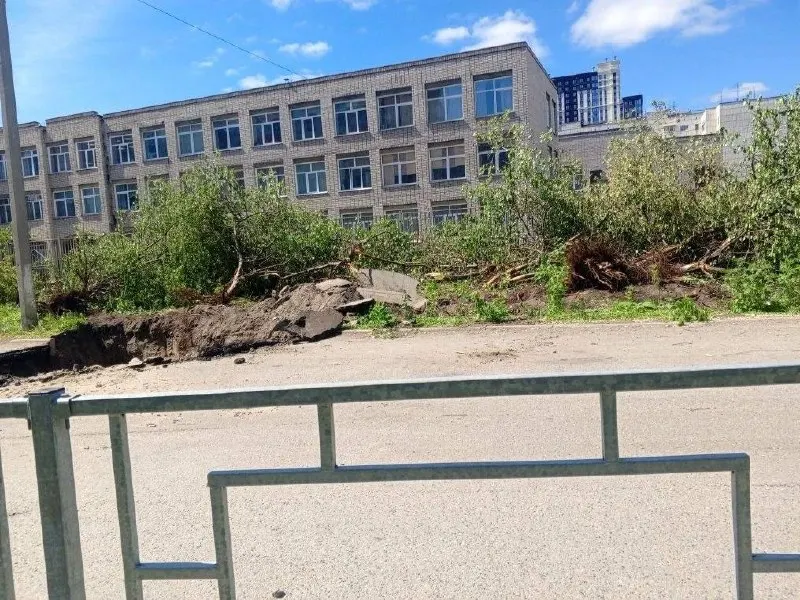 В центре Барнаула рядом со школой №27 выкорчевали аллею яблонь: деревья росли менее чем в трёх метрах от теплотрассы, их удалили ради ремонта. Новые деревья обещают высадить до конца лета в другом месте.
