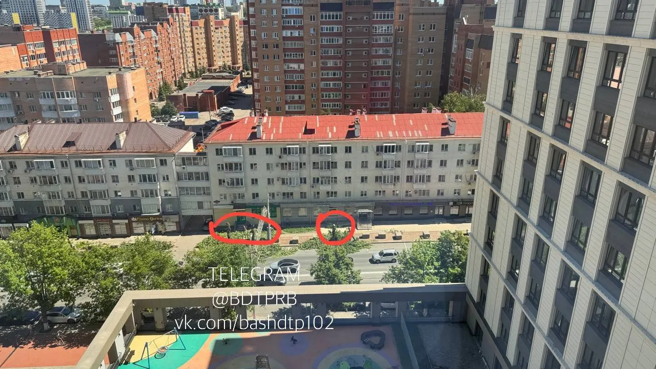 Возле дома по адресу Ленина, 120 срезают взрослые деревья, которые, по словам горожан, не имели признаков аварийности. Местные просят администрацию пояснить причины вырубки и планы по восстановлению зелёных насаждений.