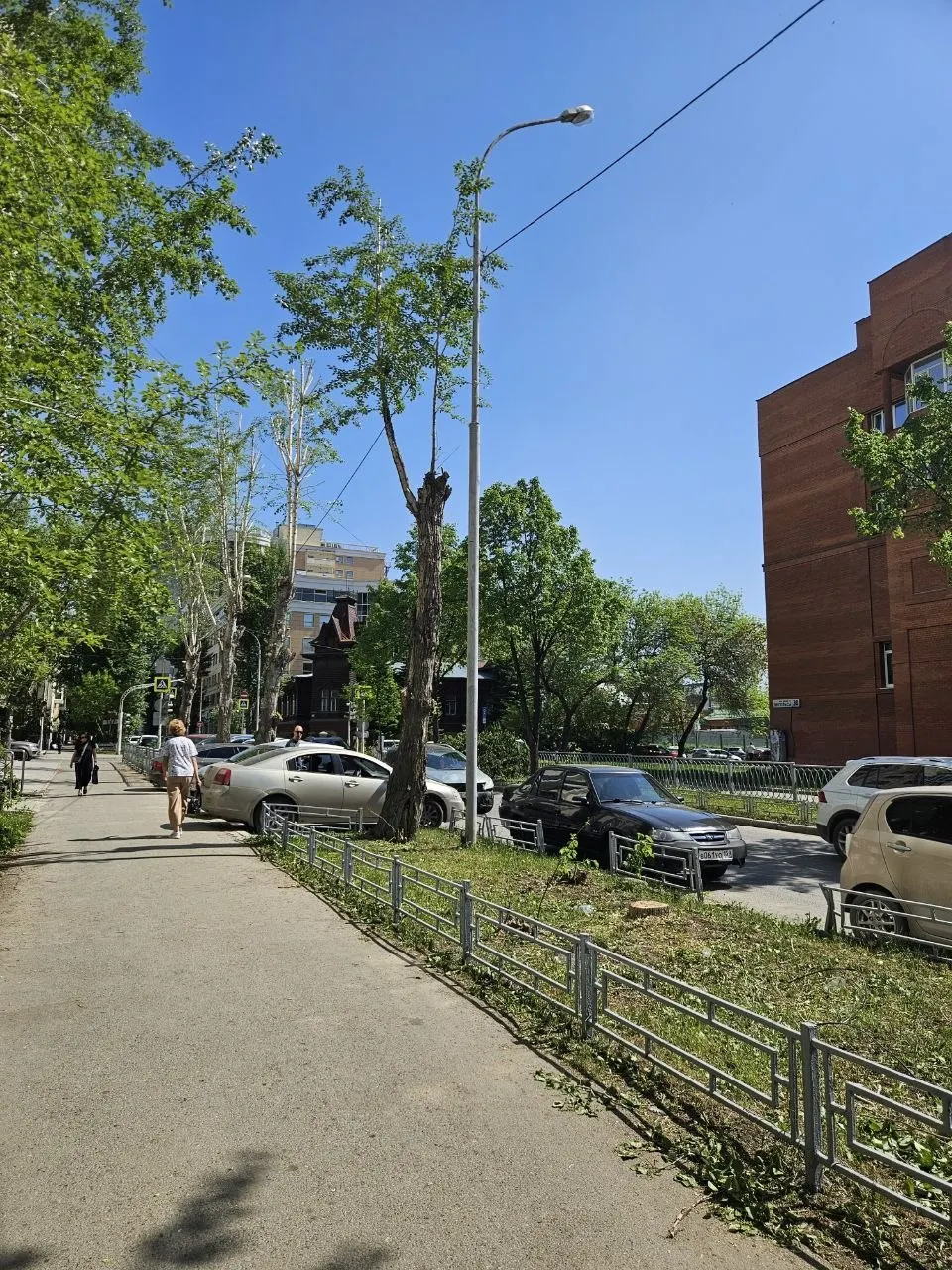 На перекрёстке в Екатеринбурге срубили и обрезали тополя: часть деревьев полностью удалена, часть — сильно подрезана. В администрации города заявляют, что разрешений не выдавали; жители требуют объяснений и связывают рубку с возможным строительством парковки.