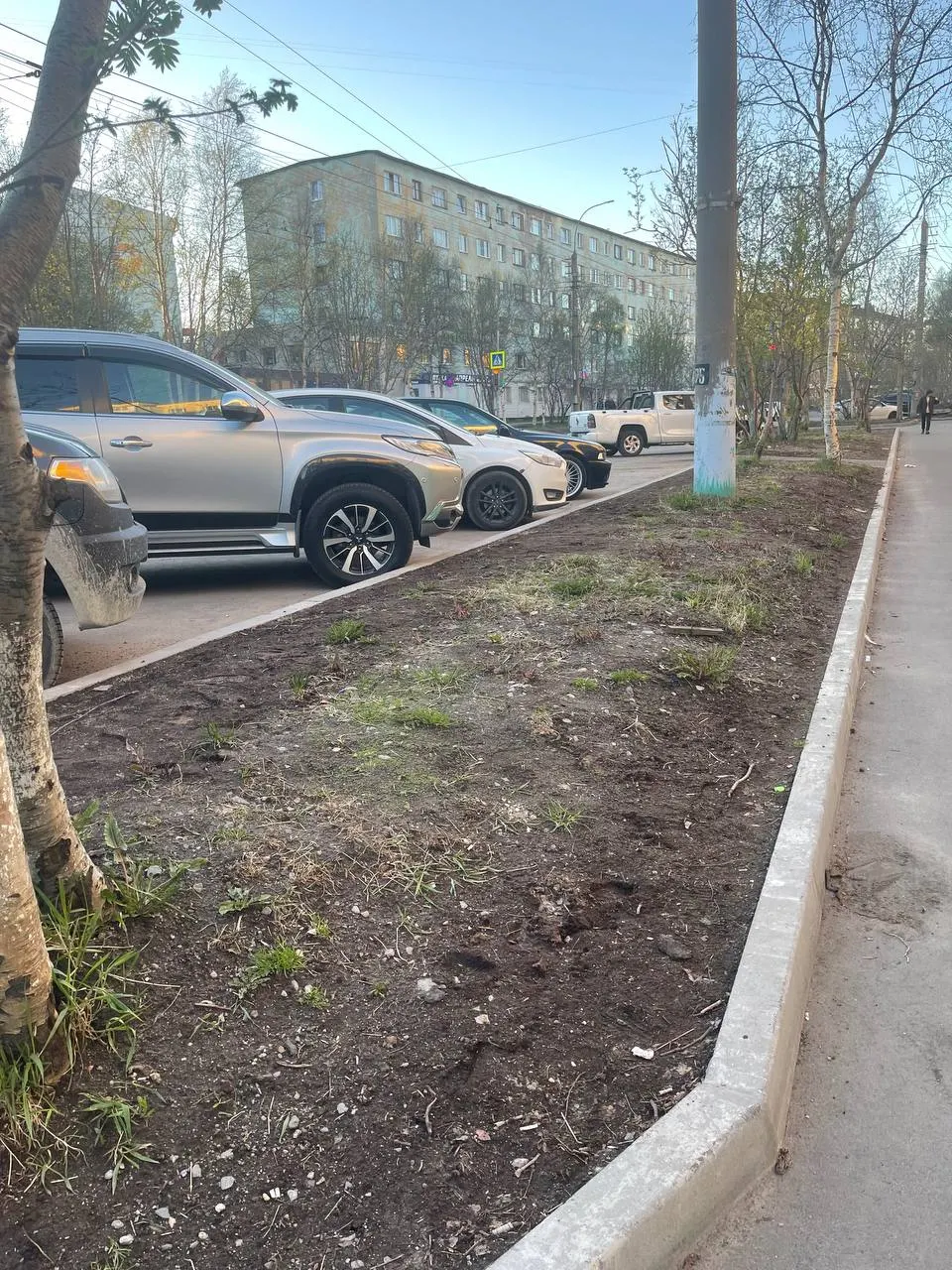 На Полярных Зорях в Мурманске газон, посеянный в 2024 году, разрушили при ремонте дороги и тротуара в 2025 году — озеленение до сих пор не восстановлено.