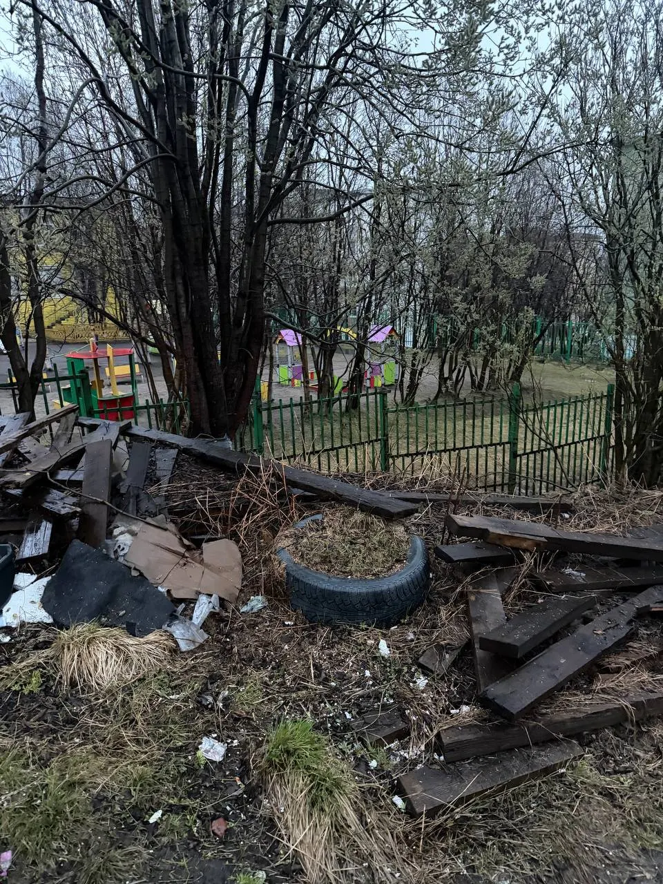 Жители сообщили о свалке вдоль забора детского сада: грызуны, блохи и риск пожара, при этом дети гуляют поблизости.
