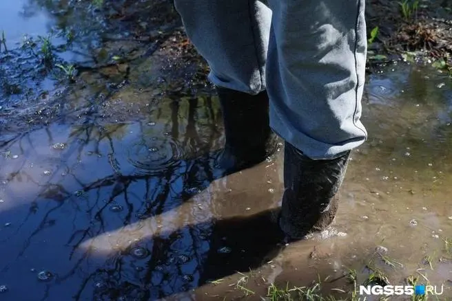 В нескольких дачных сообществах Осташково вода появилась впервые. Копают канавы, власти направили волонтёров и открыли штаб для приёма жалоб, но местные говорят, что вода продолжает прибывать и многие садоводы в отчаянии.
