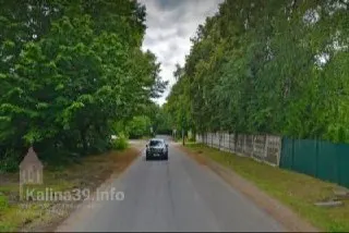 На участке от дома №100 до №127 планируют вырубить 28 взрослых деревьев; вместо них посадят 22 липы и куст форзиции, из чего следует чистый убыток в количестве зелёных насаждений.