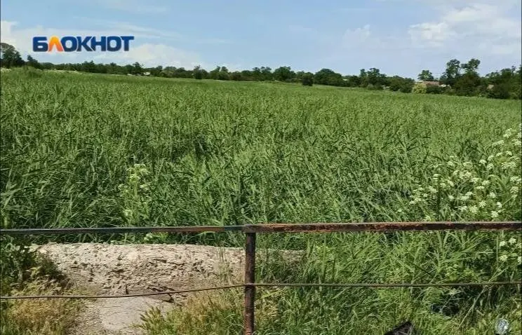 В Азовском районе пересохла река, которая десятилетиями подпитывала колодцы и экосистему: сельчане винят самовольные земляные дамбы выше по течению, водоснабжение по сетям работает иногда всего по пару часов в сутки.