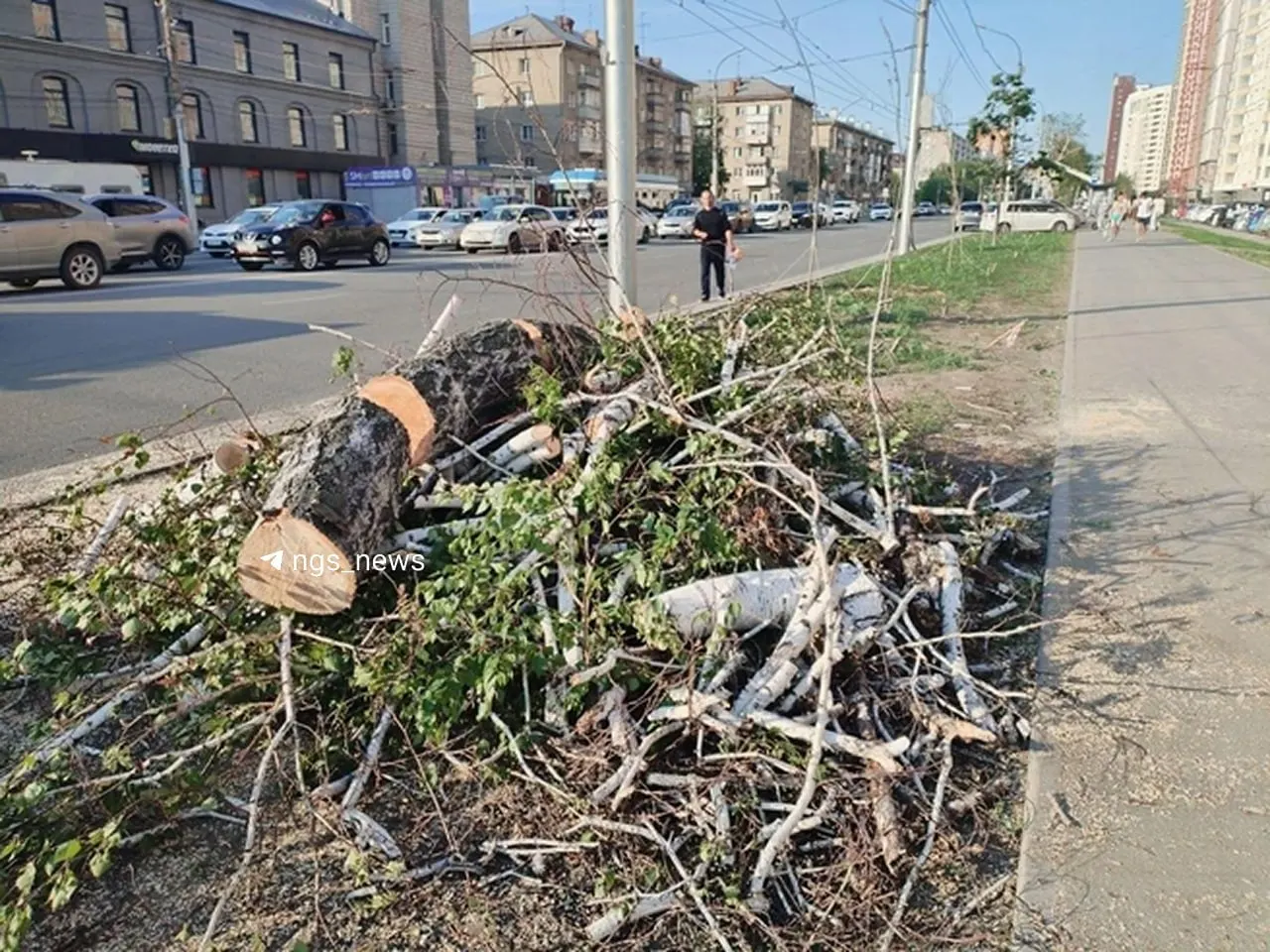 Жители жалуются, что многие берёзы были зелёными и вырублены без защитных компенсаций. В мэрии подтвердили: снесены 134 и обрезаны 30 аварийных деревьев; решение о компенсационных посадках примут при наличии целевого финансирования.