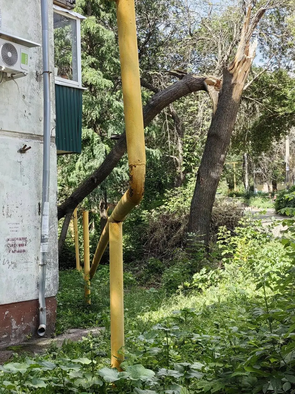 У домов №164 и №168 ветви и упавшие деревья задели газовые трубы: утечек не зафиксировано, но жители обеспокоены. Заявку по одному из случаев подали 22 июня, а аварийные службы ещё не прибыли.