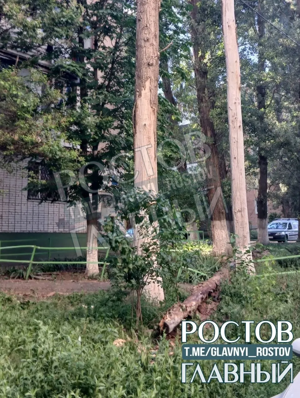 Во время ливня рядом с припаркованной машиной рухнуло старое сухое дерево. К счастью, обошлось без пострадавших — жители просят убрать гнилые стволы, пока не случилось беды.