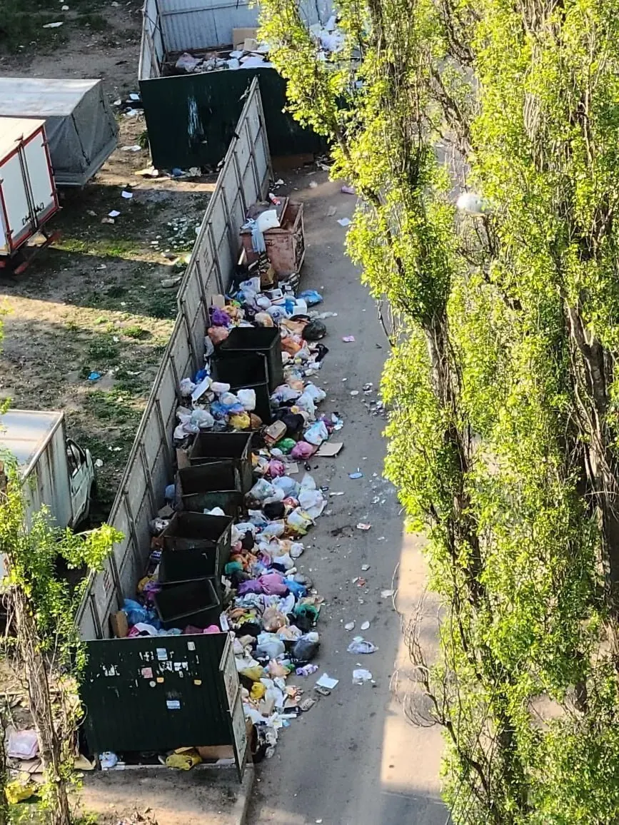 С 2019 года одна компания вывозит мусор для половины области. Проверки и жалобы жителей фиксируют нарушения, но сменить оператора трудно из-за инфраструктуры и финансовых потерь для владельцев.