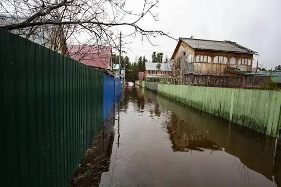 Из‑за разлива протоки Мега в Мегионе вода затопила более 40 участков в садоводстве «Обь», часть улицы Озерной перекрыли; для возможного расселения развернули пункт во Дворце искусств.