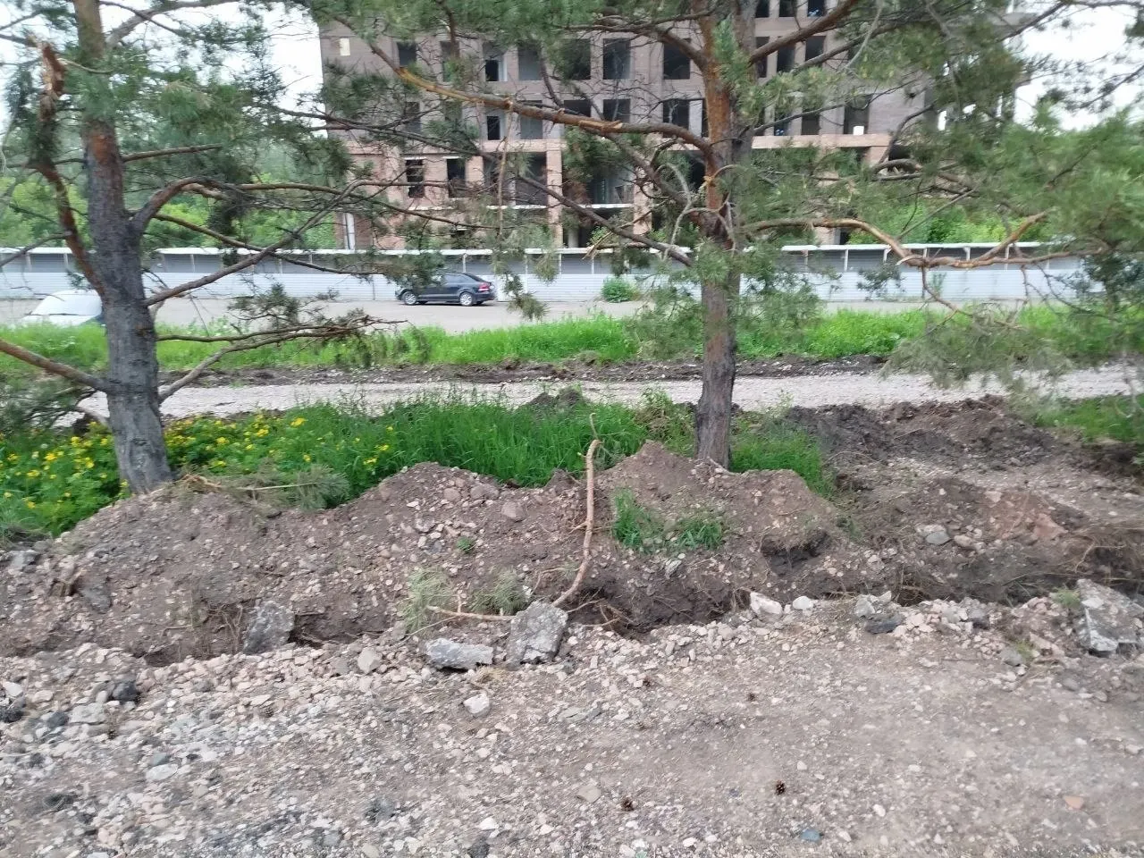 Рабочие выкопали траншеи для проводов по корням деревьев на набережной Качи. В мэрии признали ущерб и пообещали штраф и компенсационные посадки в случае гибели деревьев.