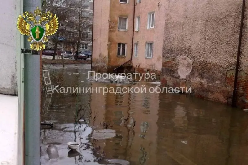 Жители расселённого по предписанию прокуратуры дома получили квартиры на Борисовском бульваре. Следователи осмотрели подтопленные подвалы и другие повреждения, по результатам проверки возбуждено уголовное дело.