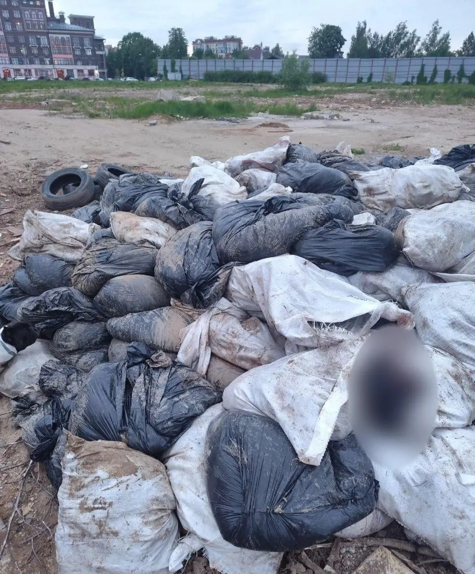 После&nbsp;Курбан‑байрама в&nbsp;Видном на&nbsp;территории ЖК&nbsp;обнаружили груду останков баранов
