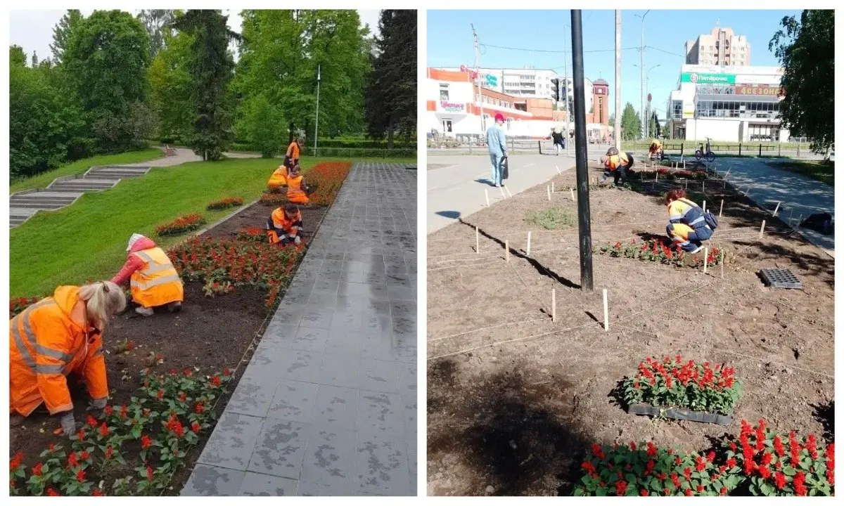 В Петрозаводске стартовал сезон цветочных посадок: в центре города и в микрорайонах Кукковка и Древлянка появились первые композиции из петунии, тагетиса, сальвии и бегонии. Всего планируется высадить около 50 тысяч растений, которые будут радовать горожан всё лето.