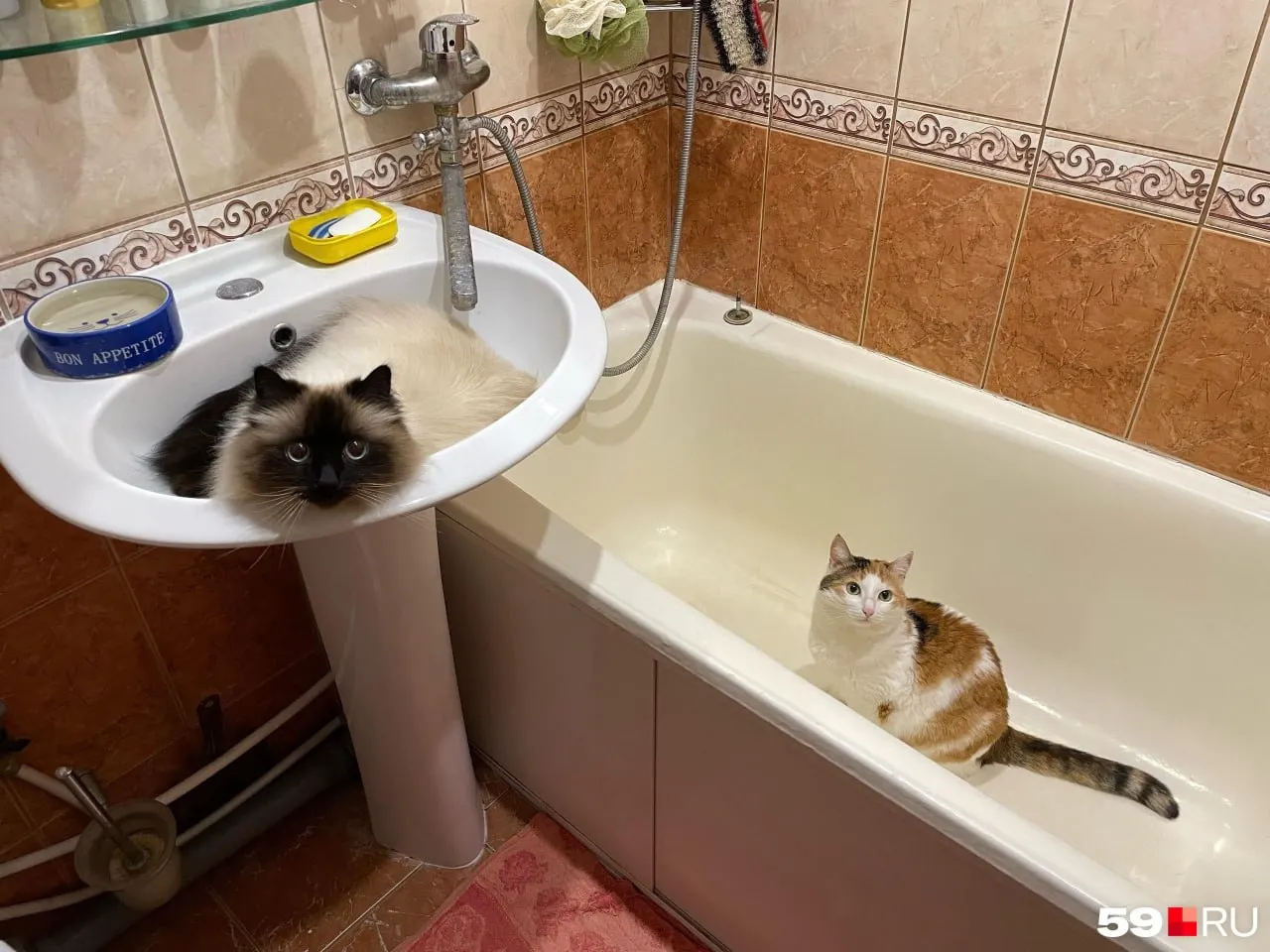 В Орджоникидзевском районе воду отключат с 14:00 6 июня до 14:00 7 июня; в Дзержинском — 7 июня с 09:00 до 18:00.