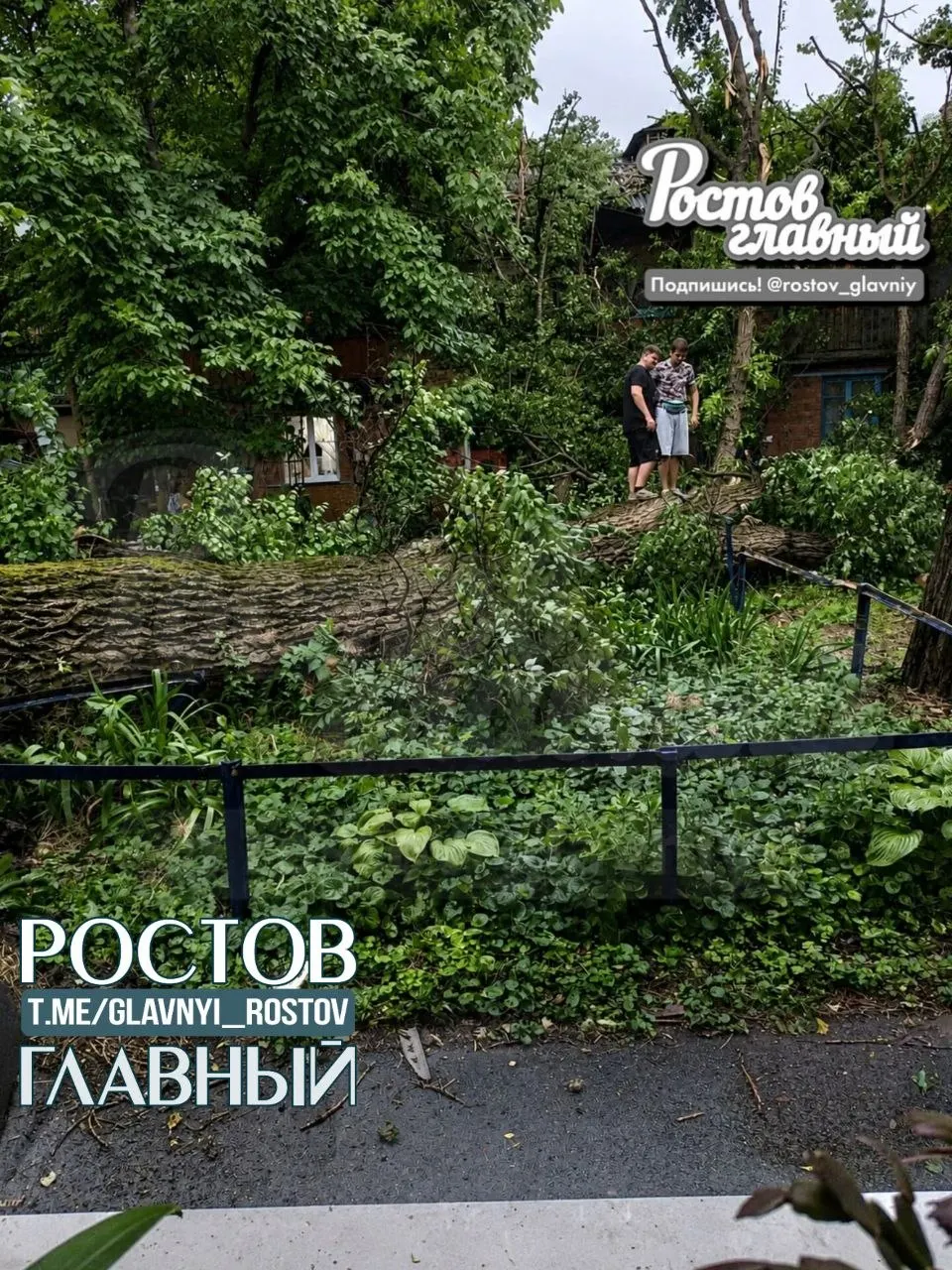 Дерево упало на дом на улице Казахская. Местные жители утверждают, что более десяти лет просили коммунальные службы спилить аварийное дерево, но обращения остались без реакции.