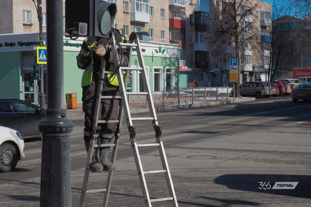 Коротко: жители спасли раненую овцу, в художественной галерее снова потоп, владелец независимого канала уехал из страны после задержания, над регионом замечали беспилотники, а клещи покусали более 11 тысяч человек.