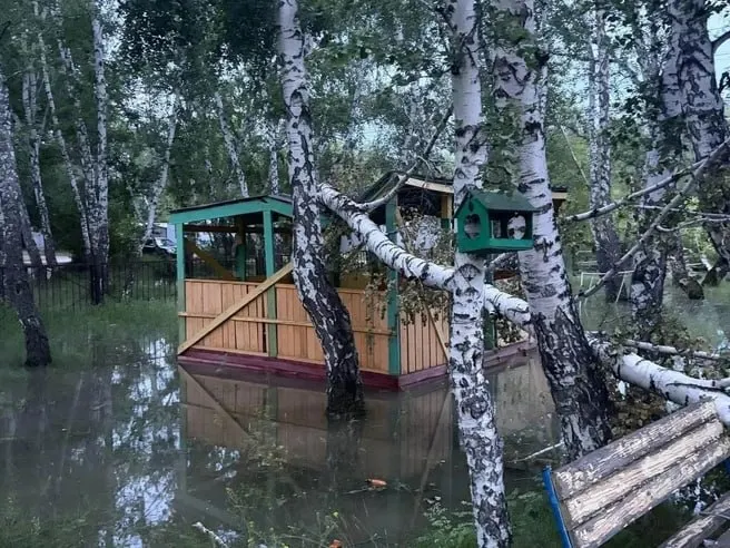 После ливня территория школы №99 на улице Молодова оказалась залита водой: повалены деревья, местные предполагают порыв трубы. В мэрии Омска запрошен комментарий.