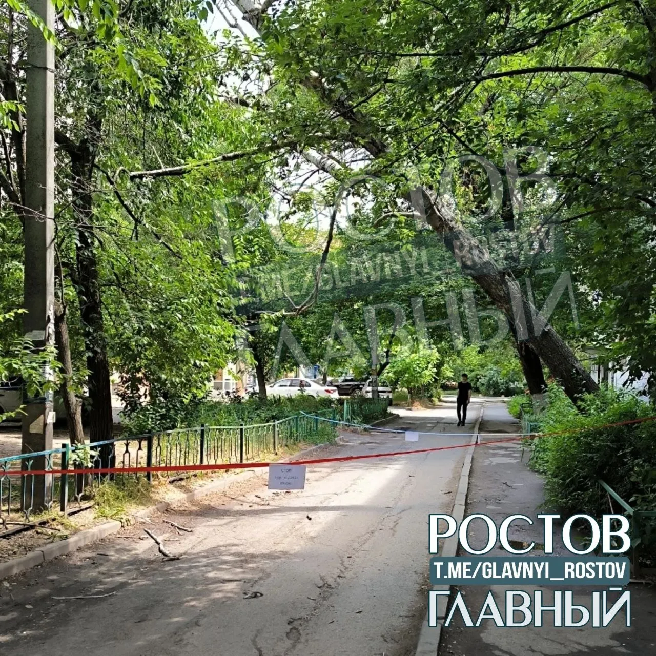 Около 00:40 дерево рухнуло на Волкова, 7/4 и повисло на проводах. Жильцы ранее просили признать растение аварийным, но реакции со стороны властей не последовало.