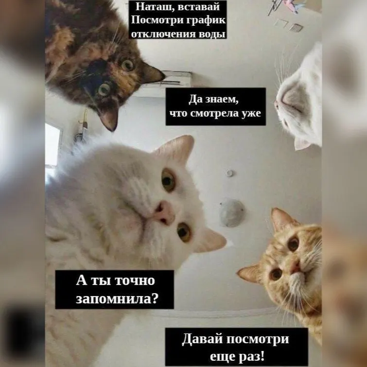 С 25 июня по 9 июля в большинстве районов Петрозаводска временно прекратят подачу горячей воды. Приводим перечень затронутых районов и рекомендации для жителей.