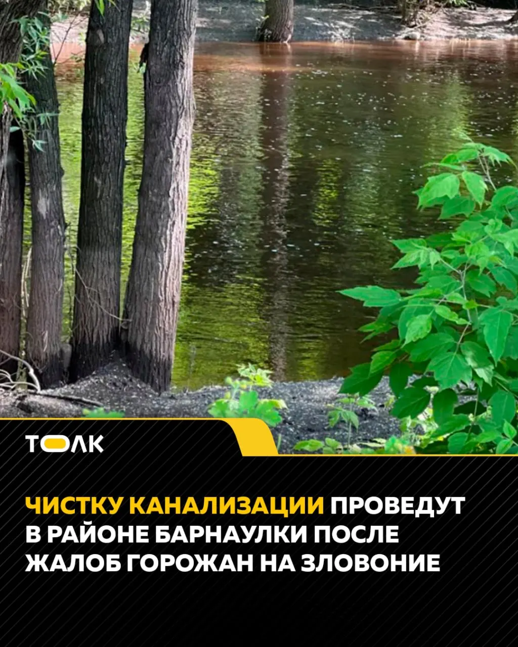 Жители пожаловались на запах рядом с парком «Центральный». Коммунальщики обследовали системы водоотведения, 10 июня запланирована профилактическая чистка и герметизация колодцев — возможны временные запахи в районе работ.
