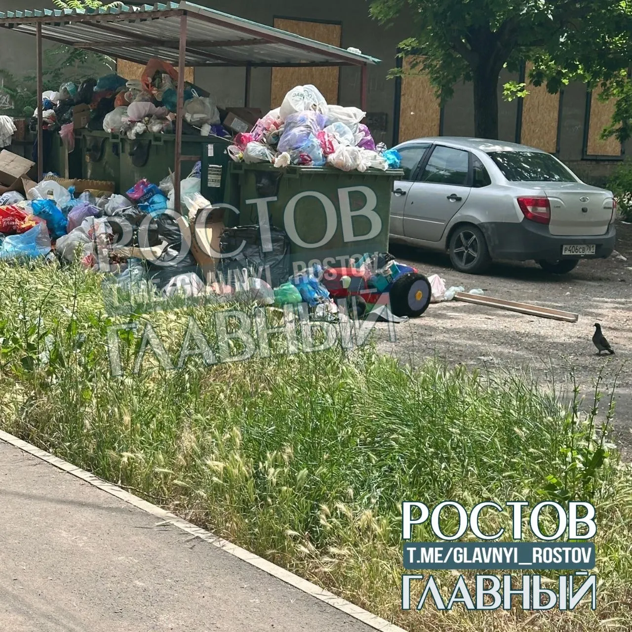 Жители Октябрьского района жалуются, что участок муниципальной земли возле дома на ул. Герасименко, 8 долго не убирают: трава достигает 1,2 м, повсюду мусор, рядом находятся детская площадка и школа.
