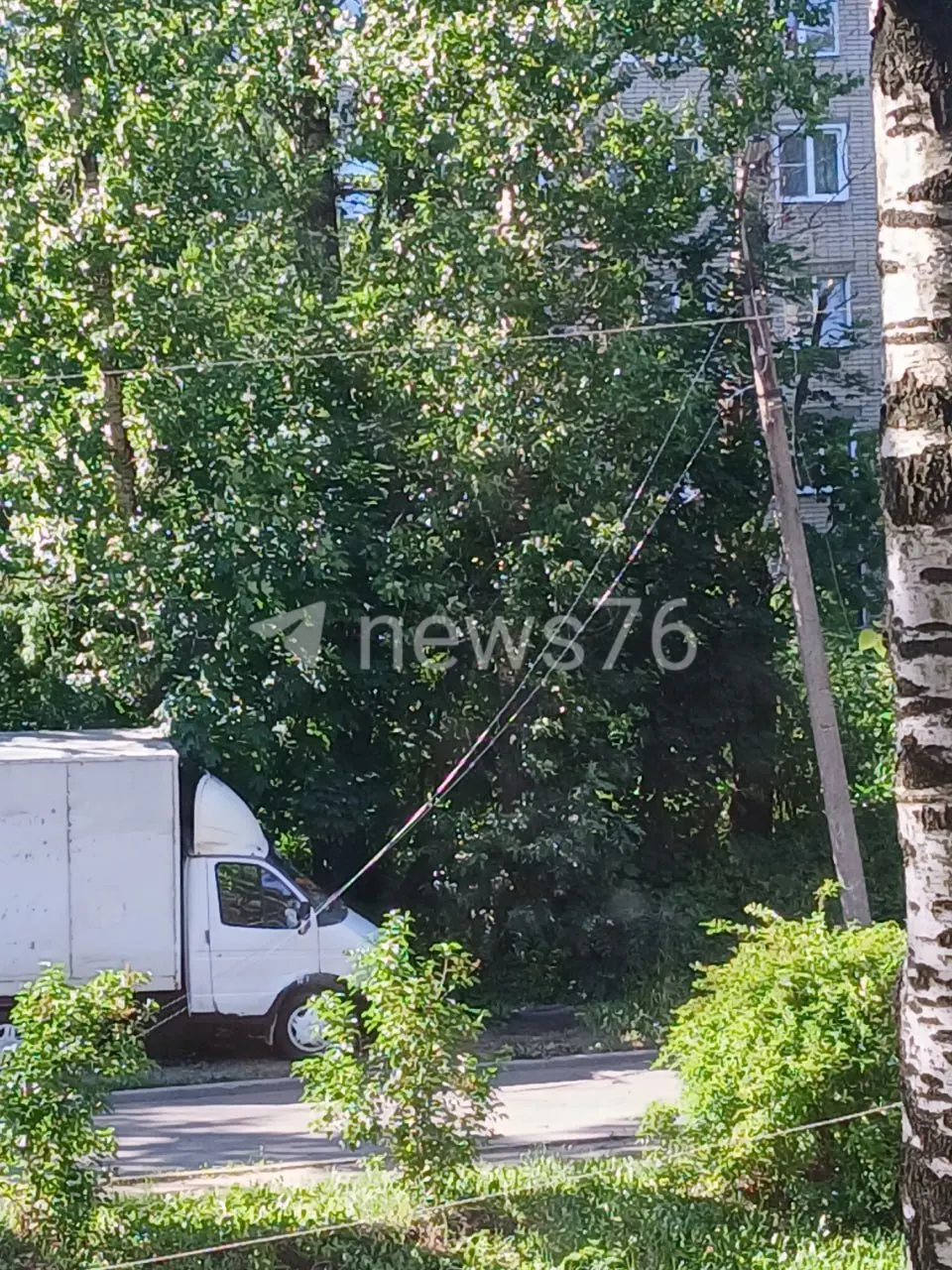 Упавшее дерево перегородило дорогу у многоэтажного дома в Ярославле. Жильцы освободили проезд своими силами, при падении были оборваны провода — часть домов осталась без электричества.