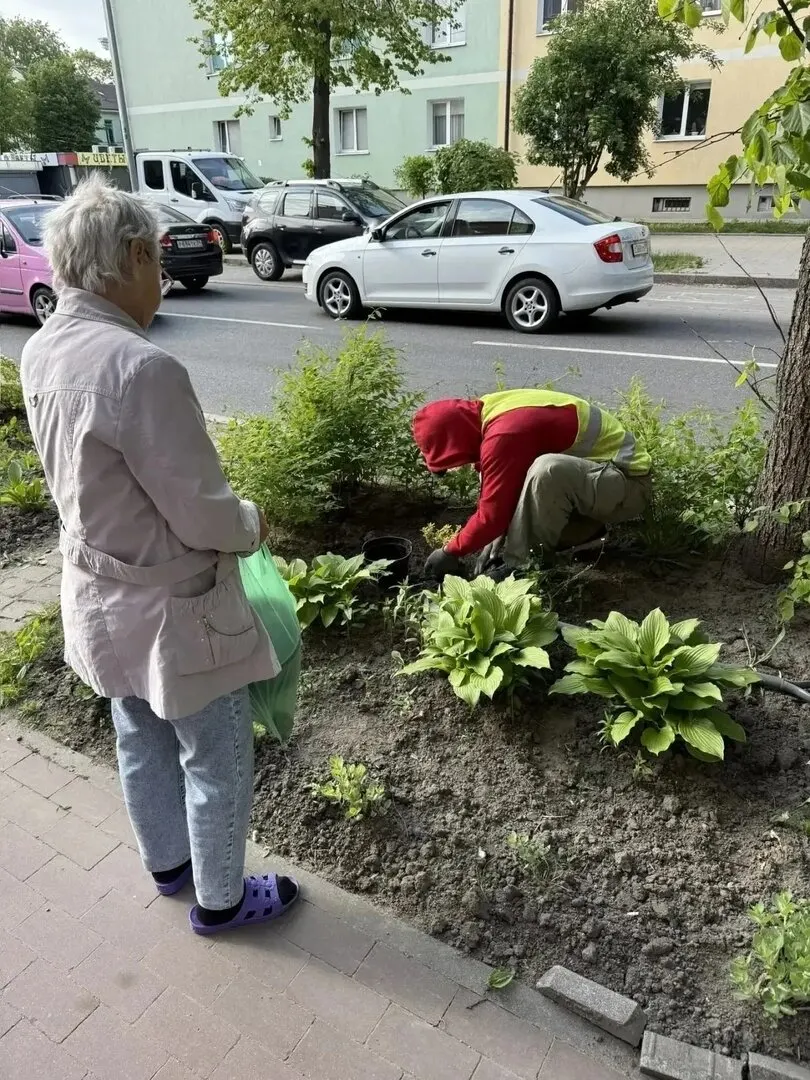При увеличении площадки ожидания автобусов у дома на улице Павлика Морозова рабочие убрали цветник, за которым годами ухаживала местная жительница; после конфликта власти вернули зелёную зону и привезли новые растения.