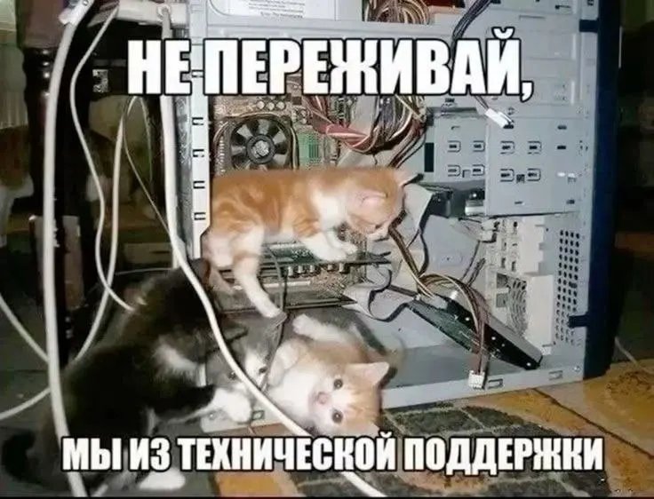 Жители сообщают о перебоях с электричеством от бульвара Победы до площади Серова: не работают кондиционеры и светофоры, общественный транспорт стоит. В «Омскэлектро» заявили, что устранение неполадок планируется до 18:00.