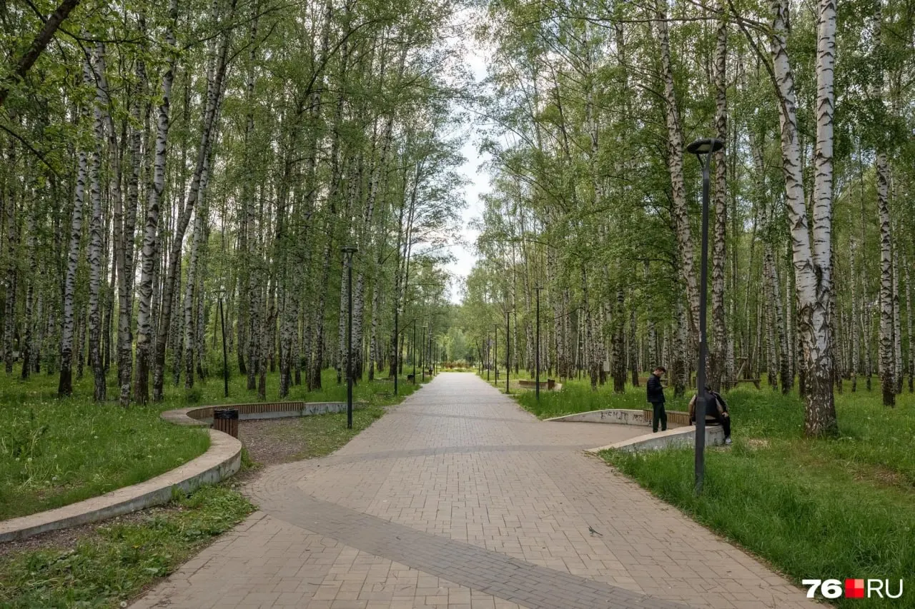 В&nbsp;Ярославле продолжают благоустройство парка Судостроителей&nbsp;— на&nbsp;завершение выделили 29,3&nbsp;млн&nbsp;руб.