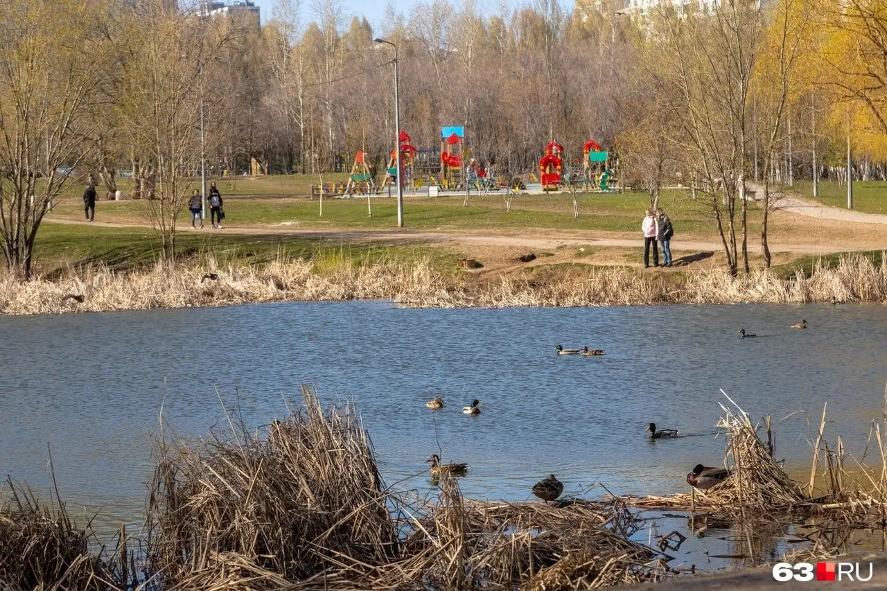 Город выделил 22 миллиона рублей на очистку нескольких водоёмов и приведение в порядок прилегающих берегов; работы планируют завершить до конца лета.
