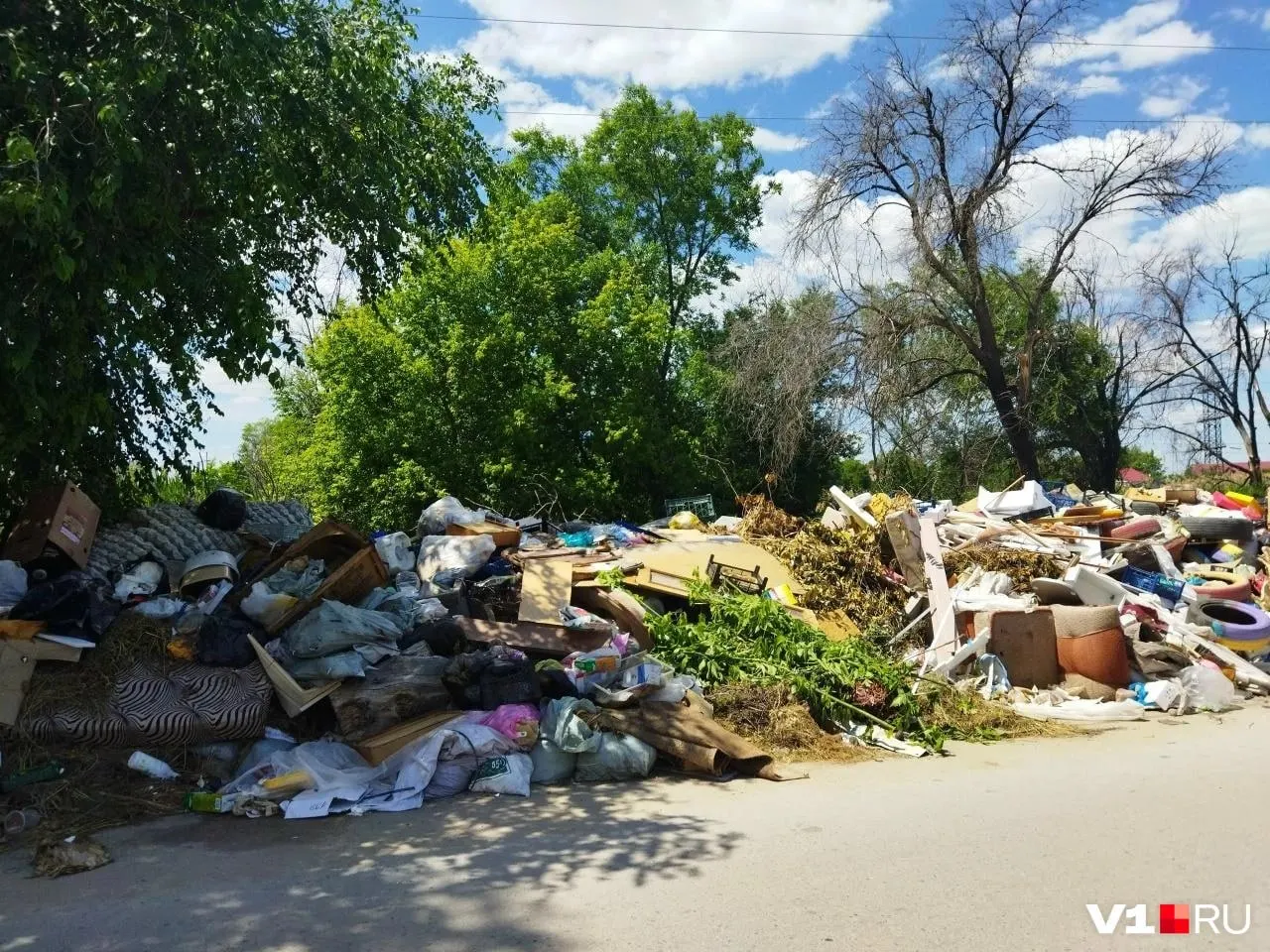 В Краснооктябрьском районе на улице Никопольской образовалась крупная несанкционированная свалка: мусор сползает на проезжую часть, мешает водителям и пешеходам и вызывает сильный запах. Власти планируют очередную очистку, эксперты призывают к системным мерам.