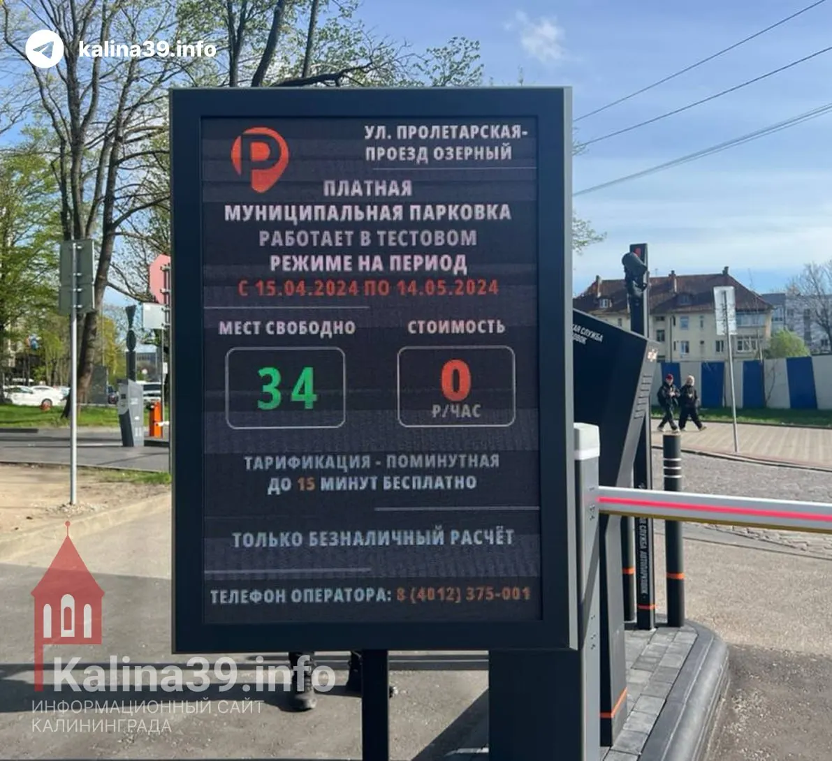 Платные муниципальные парковки в Калининграде вводят не для пополнения бюджета, а чтобы бороться с хаотичной парковкой и разгрузить центральные улицы, заявила глава администрации.